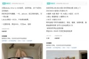 司法考试闲鱼：LABUBU搜索量环比上涨1000%，供不应求下现租赁新形式