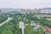 司法考试西宁市举办六五环境日主题宣传活动