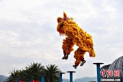 司法考试（文化中国行）壮乡狮舞闯南洋：脚踏“云桩” 饮誉海内外