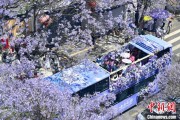 司法考试2024年云南重点高原湖泊水质稳定 抚仙湖达Ⅰ类