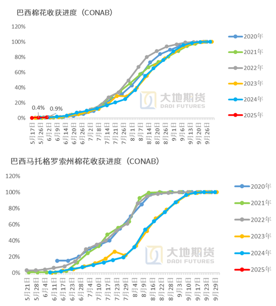 棉(💆)花：矛盾在解决中，但效果有限